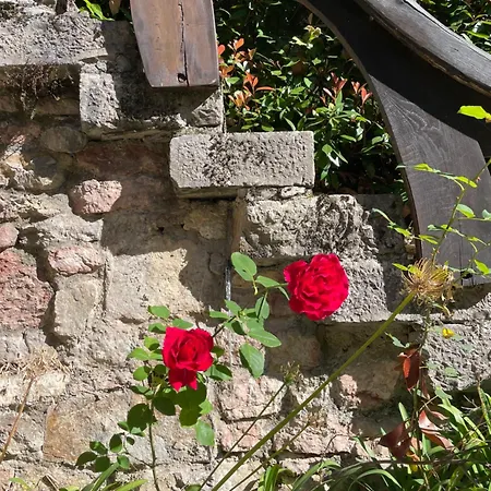 Casa Rural En Redes Tatil Evi Ríoseco